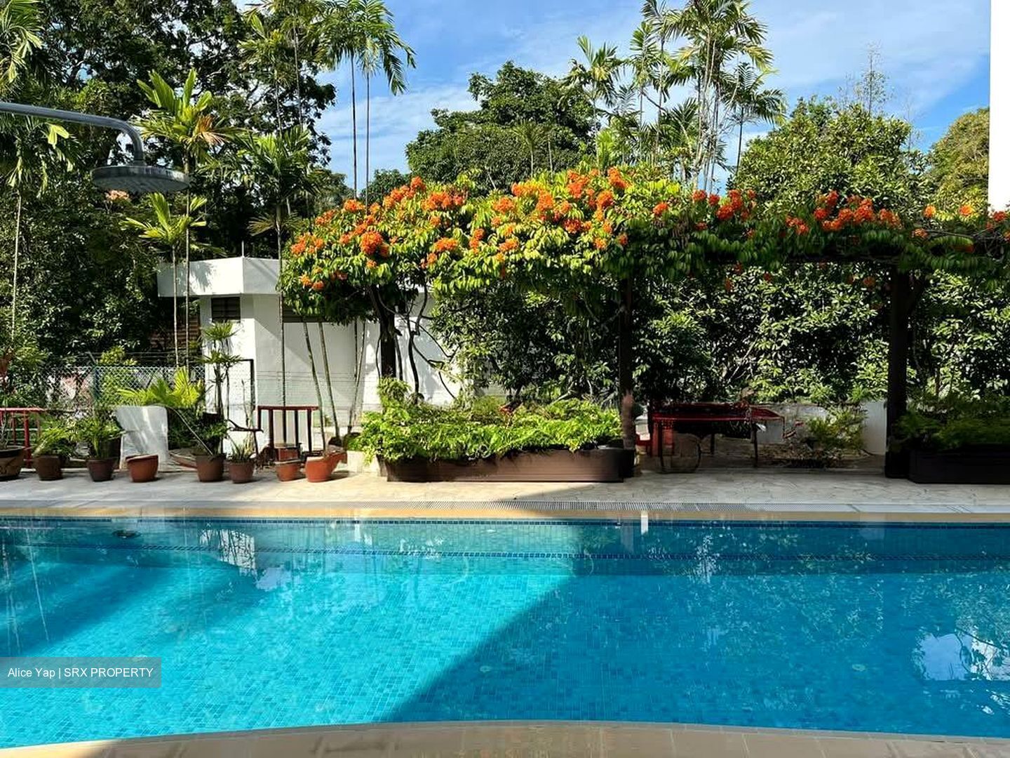 Jervois Grove (D10), Apartment #601417501
